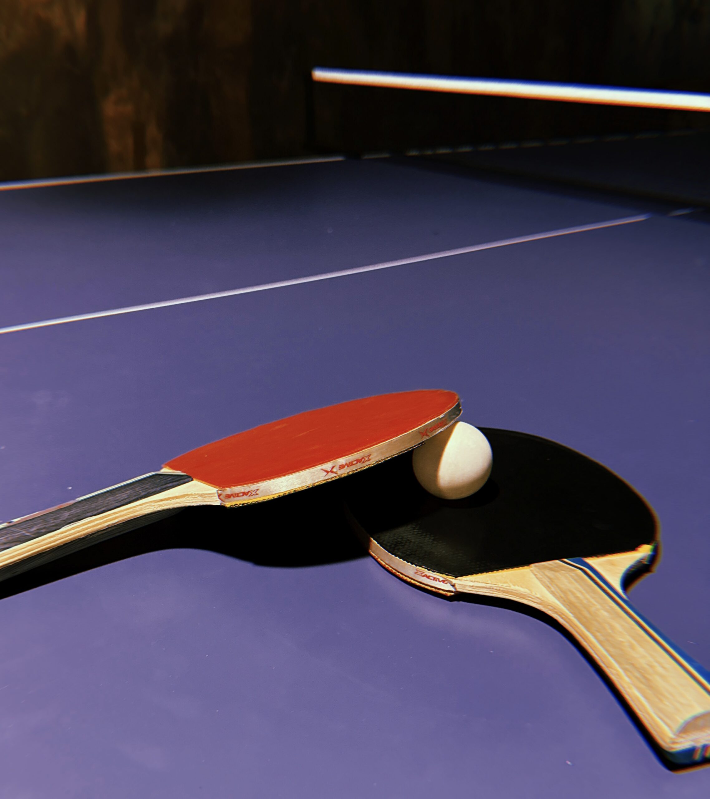 НАСТОЛЬНЫЙ ТЕННИС